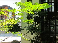 -31号公馆(黄兴广场白果园店)