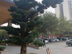 -德胜轩正宗顺德菜(宝安沙井会展中心店)