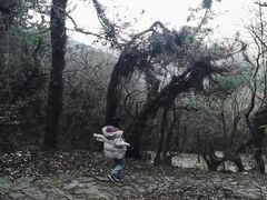 -缥缈峰景区