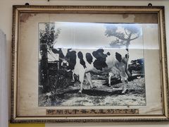 -义顺牛奶公司(新马路老店)