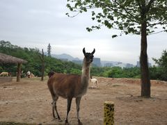 -杭州野生动物世界
