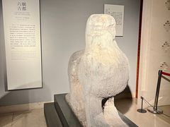 -南京博物院