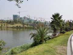 -枫香湖儿童公园