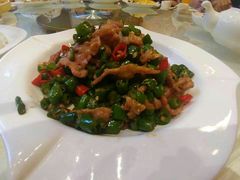 -陶然饺子城(奥体中路店)