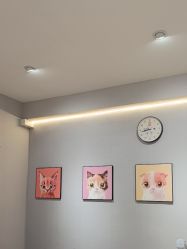 -洗脸猫·洗脸吧