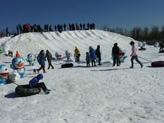 -武清南湖绿博园