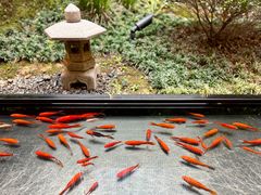 -雅达·阳羡溪山小镇中心