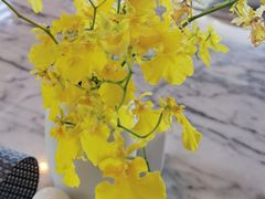 -宴悦海鲜餐厅·游水海鲜·牛排(亚龙湾瑞吉店)
