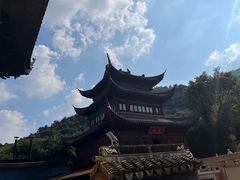 -树山生态村