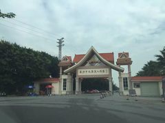 -大湾区中央湿地公园-十九涌