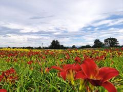-汉长安城未央宫国家考古遗址公园