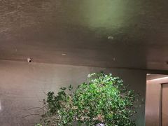 -隐溪茶馆(静安寺店)