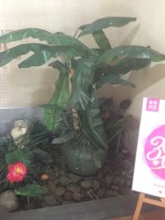 -蕾蕾美颜美容美体