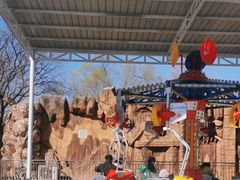 -朝阳公园游乐园