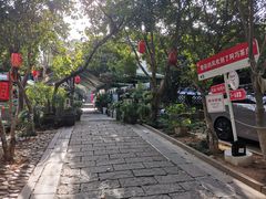 -阿巧茶庄