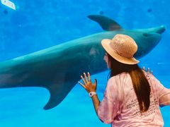 -华夏文旅海洋公园