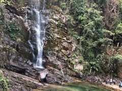 景点-鼎湖山风景区