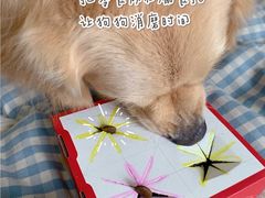 -必胜客(城西银泰店)