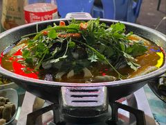 -重庆火锅水库鱼庄(南油店)