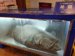 -御唐府海珊瑚主题餐厅