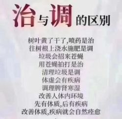 -香薇妮丝·定制减肥·身材管理