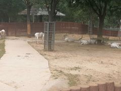 -石家庄市动物园