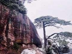 -黄山风景区