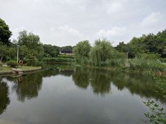 -花溪公园