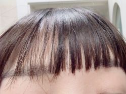 -SALON DE VANHADA