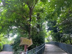 -深圳野生动物园