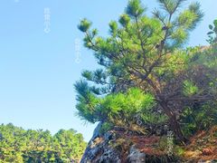-柱状节理带