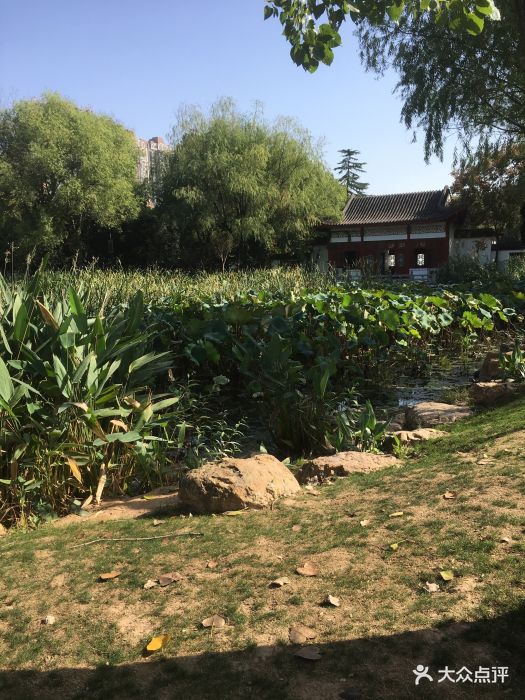 南干渠游园图片 - 第10张