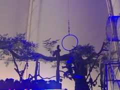 景点-白洋淀景区