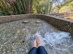 -罗浮山嘉宝田森林温泉度假酒店