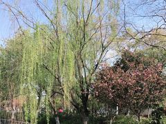 -苏州上方山国家森林公园