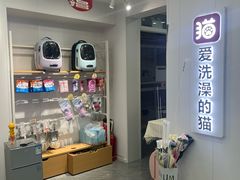 -爱洗澡的猫(望京店)