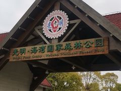 -上海海湾国家森林公园