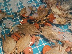 -阳光岛·海鲜盛宴(银泰中心in99店)