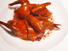 -陶陶居酒家(正佳广场店)