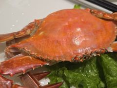 -大连湾旭日·家宴·海肠捞饭(马栏广场店)