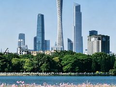 -海珠湖公园
