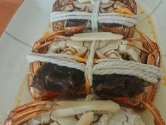 -阳澄湖大闸蟹·琼灵阁牌品牌连锁(吴中总店)