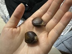 -邢记板栗(铜陵二店)