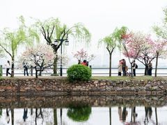 -无锡蠡湖国家湿地公园-蠡园