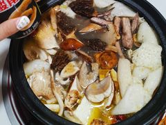 -蘑统田下·野生菌火锅