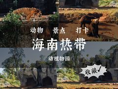 -海南热带野生动植物园