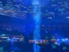 -成都浩海立方海洋公园