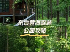 -黄海国家森林公园