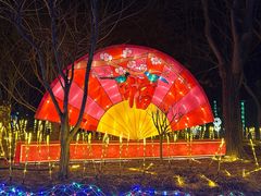 -南宫五洲植物乐园