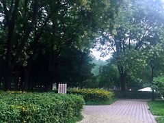 -玲珑塔公园